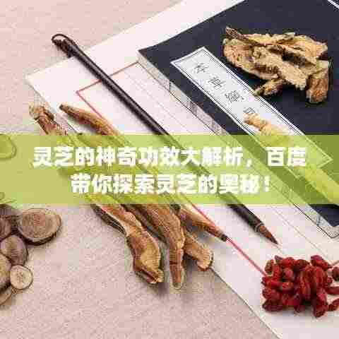 灵芝的神奇功效大解析,百度带你探索灵芝的奥秘!