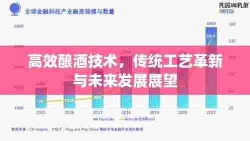 高效酿酒技术，传统工艺革新与未来发展展望