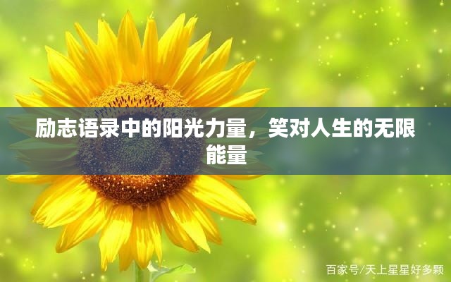 励志语录中的阳光力量,笑对人生的无限能量