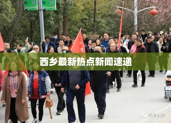 西乡最新热点新闻速递