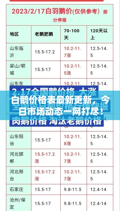 白鹅价格表最新更新，今日市场动态一网打尽！