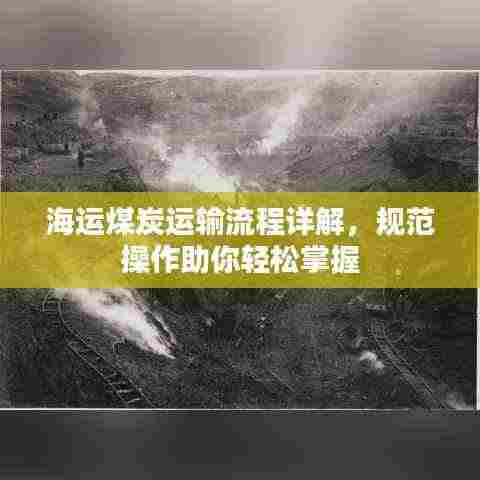 海运煤炭运输流程详解，规范操作助你轻松掌握