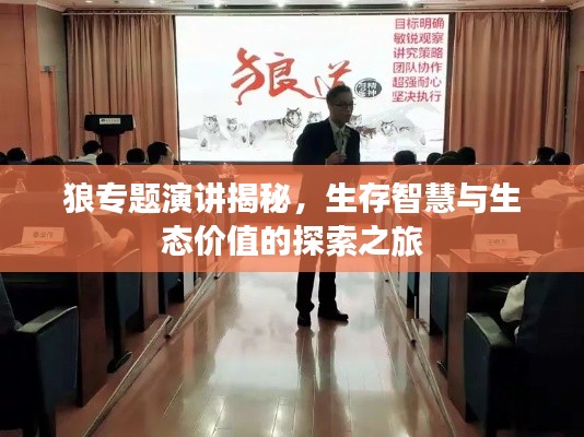 狼专题演讲揭秘，生存智慧与生态价值的探索之旅