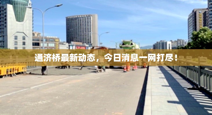 通济桥最新动态,今日消息一网打尽!