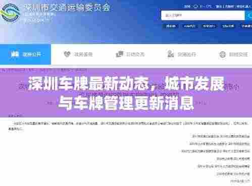 深圳车牌最新动态,城市发展与车牌管理更新消息