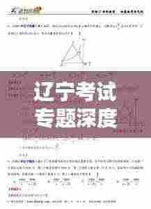 辽宁考试专题深度解析
