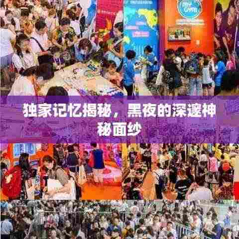 独家记忆揭秘，黑夜的深邃神秘面纱