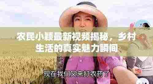 农民小颖最新视频揭秘，乡村生活的真实魅力瞬间